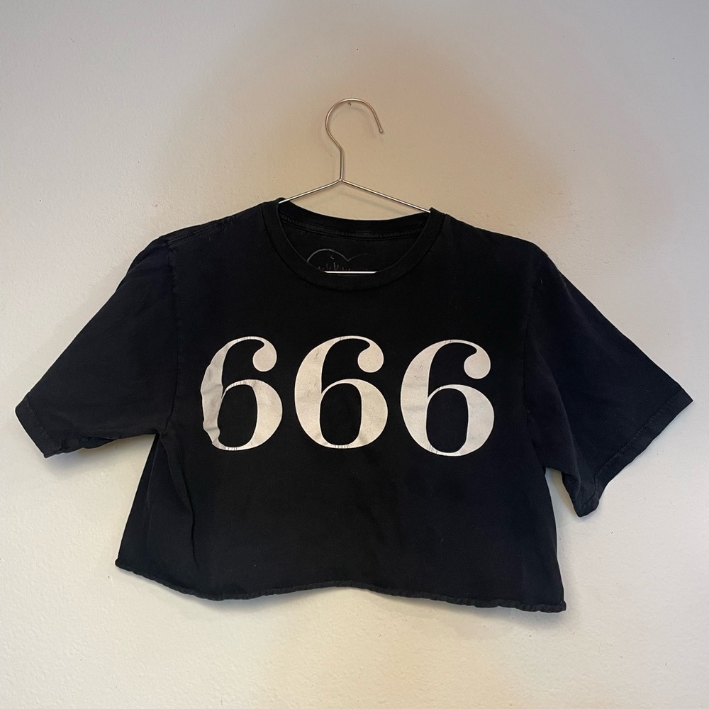 666 Crop Top